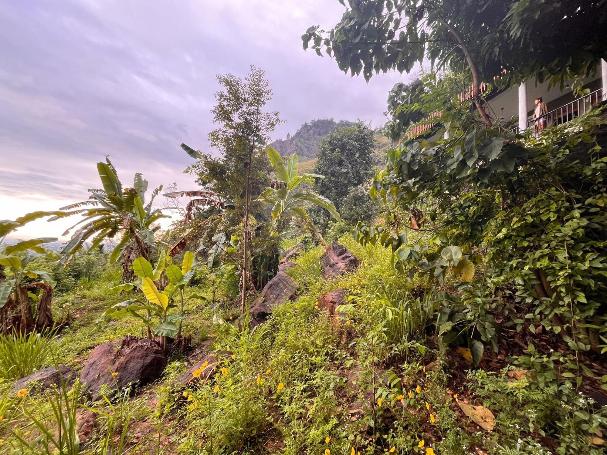 Nature Green Hotels On Rock Home เอลลา ภายนอก รูปภาพ
