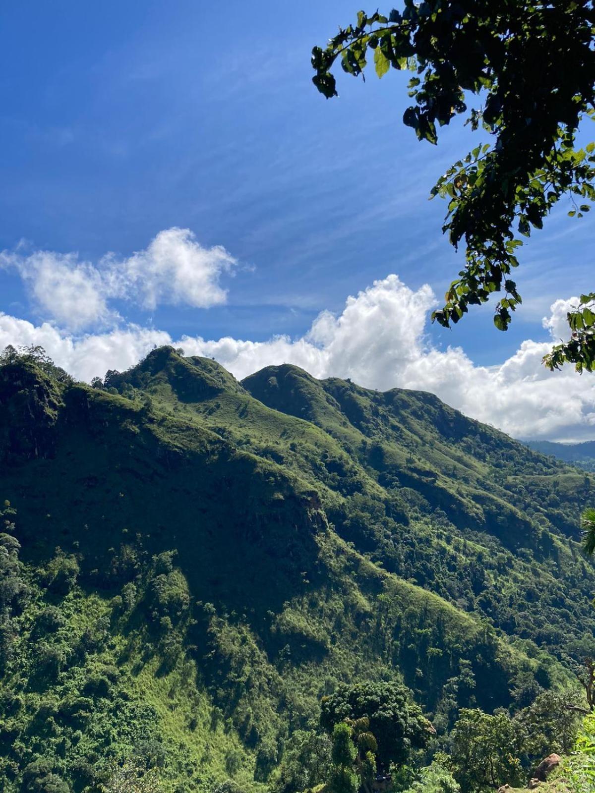 Nature Green Hotels On Rock Home เอลลา ภายนอก รูปภาพ