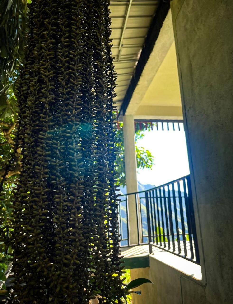 Nature Green Hotels On Rock Home เอลลา ภายนอก รูปภาพ