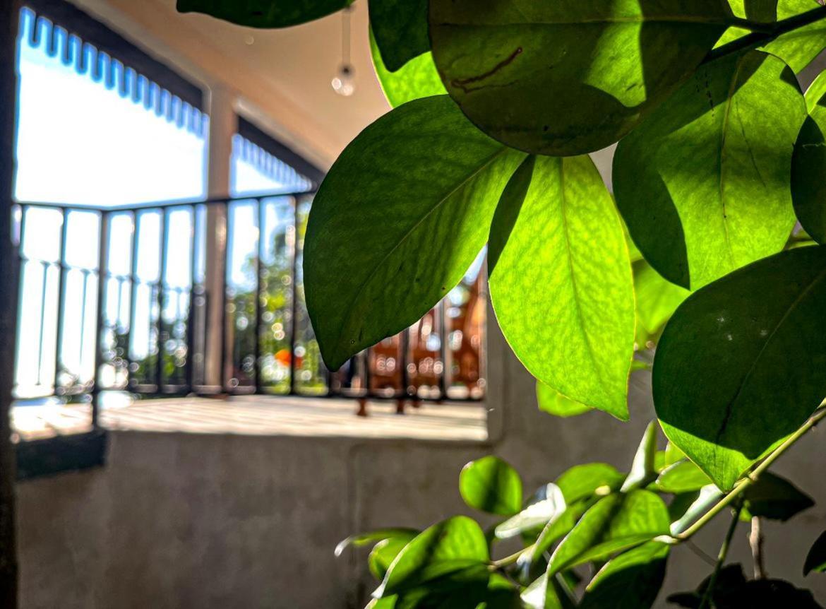 Nature Green Hotels On Rock Home เอลลา ภายนอก รูปภาพ