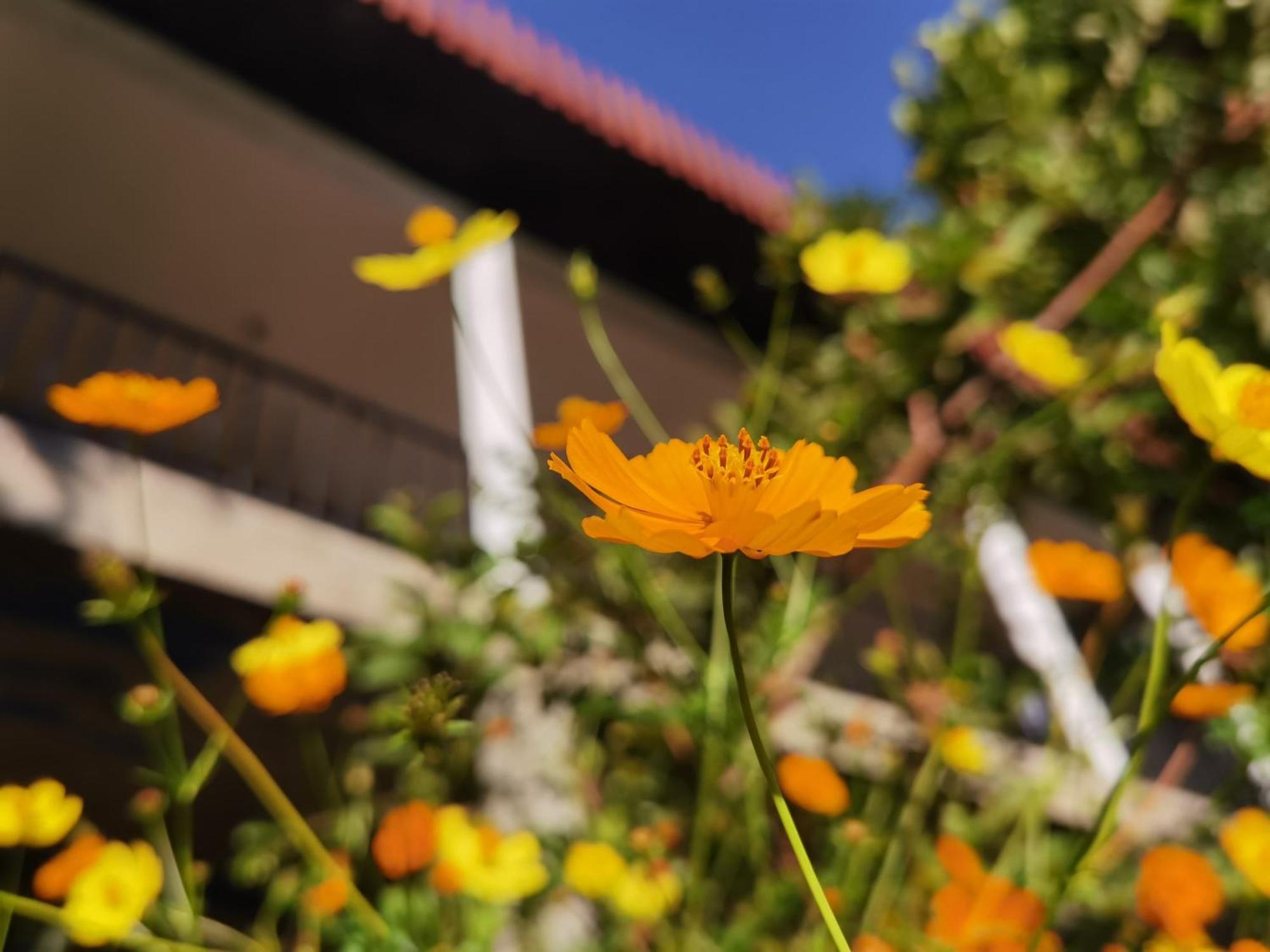 Nature Green Hotels On Rock Home เอลลา ภายนอก รูปภาพ