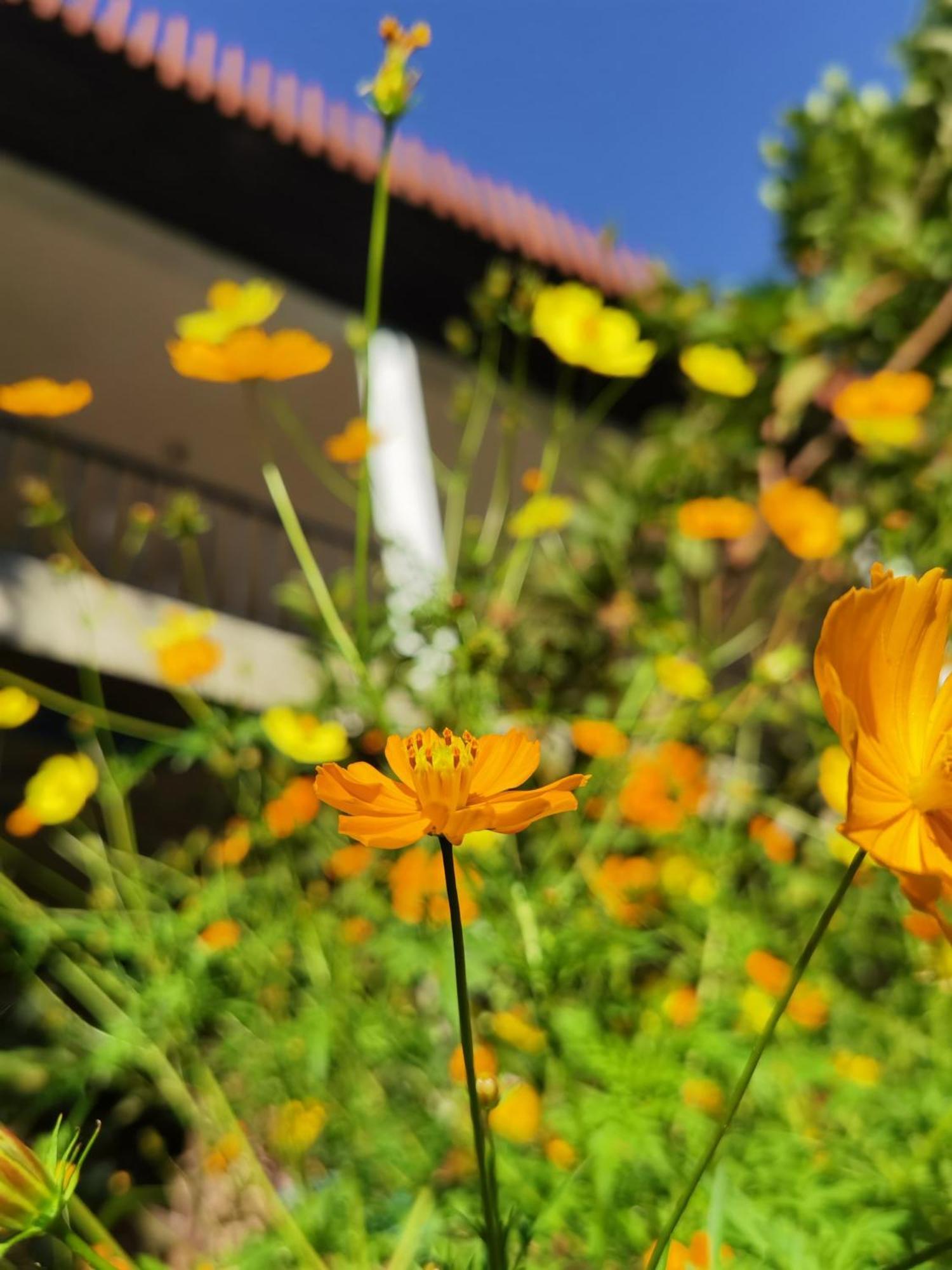Nature Green Hotels On Rock Home เอลลา ภายนอก รูปภาพ