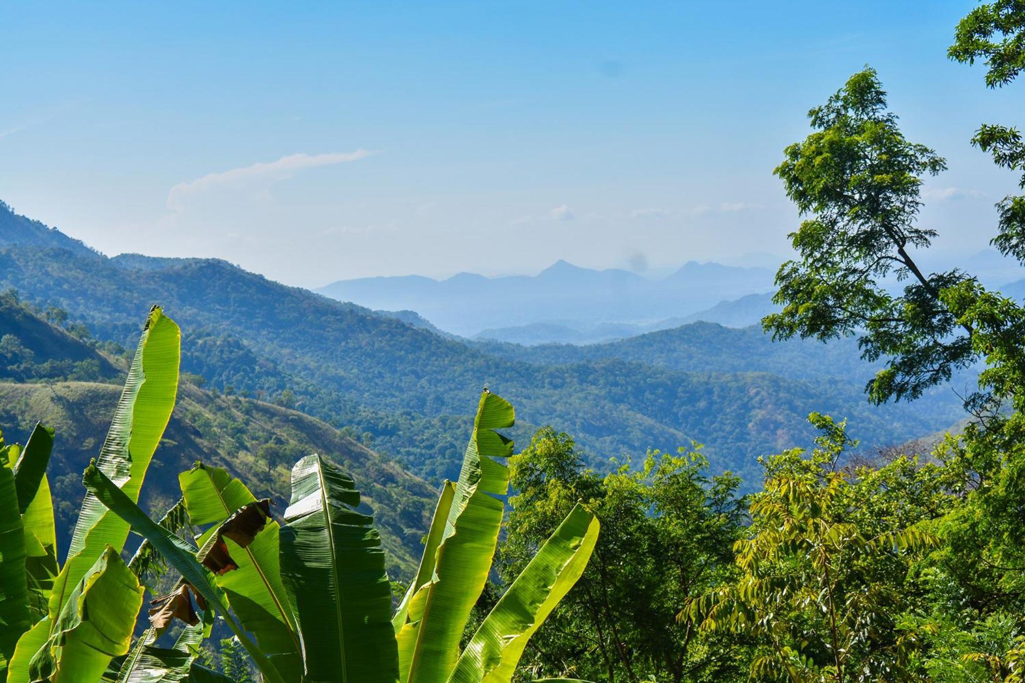 Nature Green Hotels On Rock Home เอลลา ภายนอก รูปภาพ