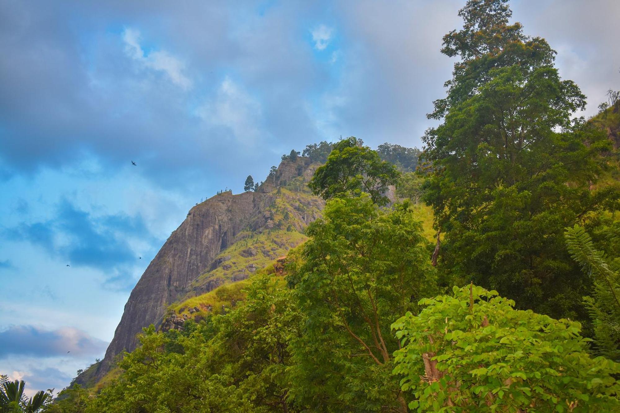 Nature Green Hotels On Rock Home เอลลา ภายนอก รูปภาพ